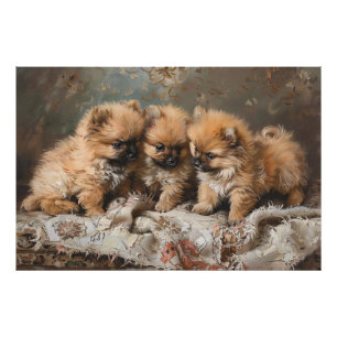 Pomeranian Puppy Trio Foto Afdruk