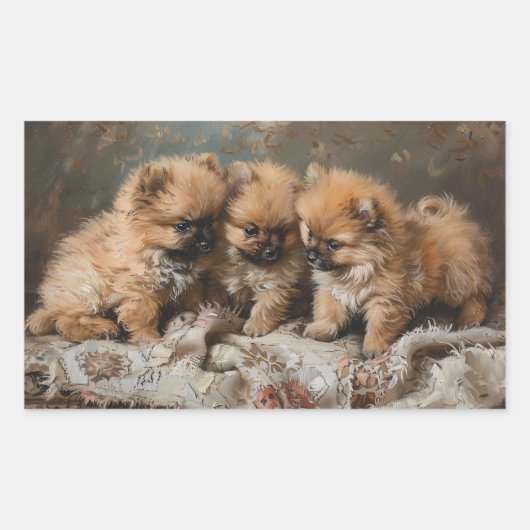 Pomeranian Puppy Trio  Rechthoekige Sticker (Voorkant)