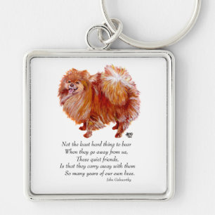 Pomeranian Regenboogbrug Sleutelhanger