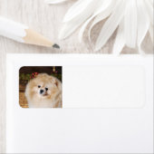 Pomeranian Return Address Labels (Insitu)