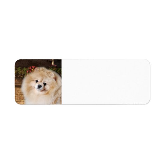 Pomeranian Return Address Labels (Voorkant)