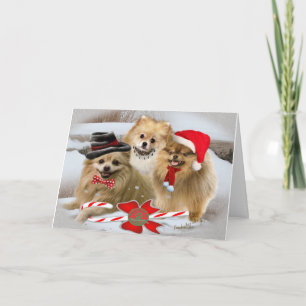 Pomeranian Snow Scene Christmas Kaart