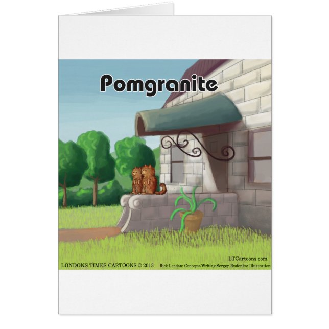 Pomeranian sur Granite (Pomegranite) Drôle (Devant)
