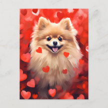 Pomeranian Valentijnsdag