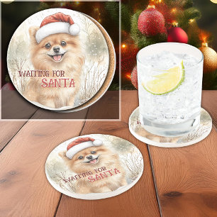 Pomeranian wacht op kerstmis voor de Waterverf Zandsteen Onderzetter
