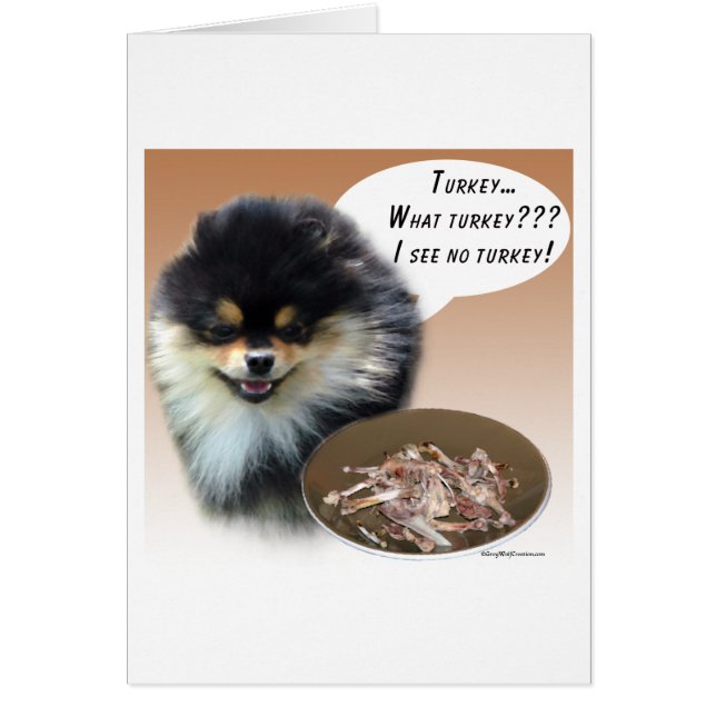 Poméranie (noir) Turquie (Devant)