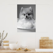 Poméranie sur une impression de bain moussant, Chi (Cuisine)