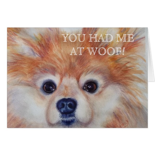 POMERANIEN EN OR CUTE (Devant horizontal)