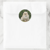 Pomeraning-vergadering Ronde Sticker (Tas)