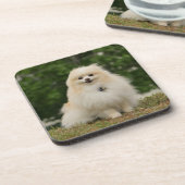 Pomeraningsvergadering Bier Onderzetter (Linkerzijde)