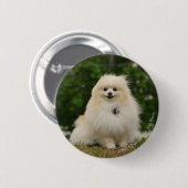 Pomeraningsvergadering Ronde Button 5,7 Cm (Voorkant /achterkant)