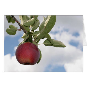 Pomme d'automne et nuages - carte vierge