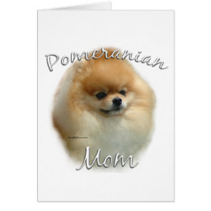 Pommeraanse mam 2