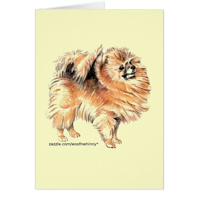 Pommeren! (Voorkant)