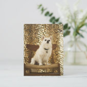 Pommeren Briefkaart (Staand voorkant)