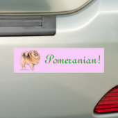 Pommeren! Bumpersticker (Op auto)