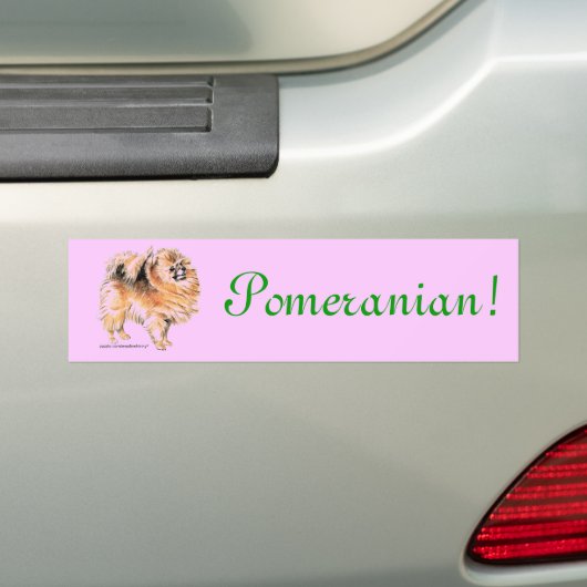 Pommeren! Bumpersticker (Op auto)