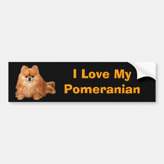 Pommeren Bumpersticker (Voorkant)