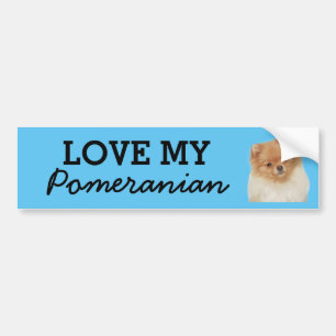 Pommeren-bumpersticker Bumpersticker