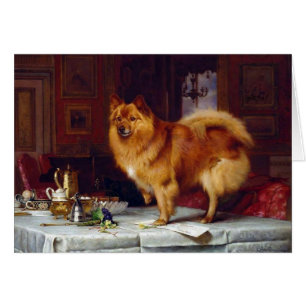 - Pommeren Dog & Breakfast Table