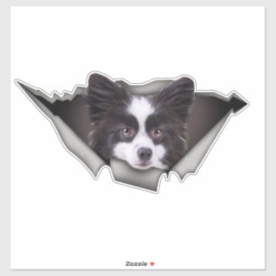 Pommeren Dog decal Dog stickers Pommeren