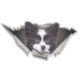 Pommeren Dog decal Dog stickers Pommeren (Voorkant)