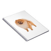 Pommeren Dog Gift Notitieboek (Rechterzijde)