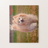 Pommeren Dog. Legpuzzel (Verticaal)