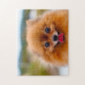 Pommeren Dog. Legpuzzel (Verticaal)