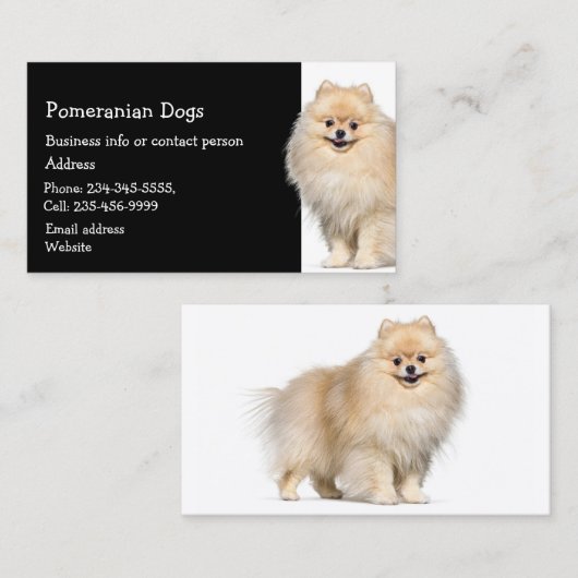 Pommeren Dogs Breeder Pet Sitter Visitekaartje (Voorkant / Achterkant)