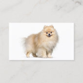 Pommeren Dogs Breeder Pet Sitter Visitekaartje (Achterkant)