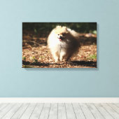 Pommeren draaien in de Gestorven bladeren Canvas Afdruk (Insitu (Houten vloer))