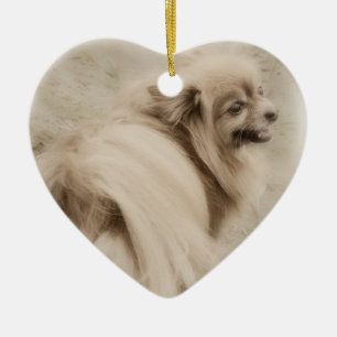 Pommeren Foto - Dreamweaver Pom Keramisch Ornament