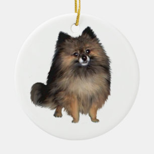 Pommeren - gestroomd keramisch ornament