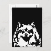 Pommeren Gifts - Briefkaart (Voorkant / Achterkant)