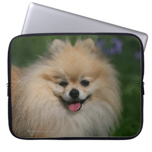 Pommeren glimlachen laptop sleeve