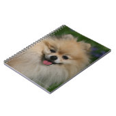 Pommeren glimlachen notitieboek (Linkerzijde)