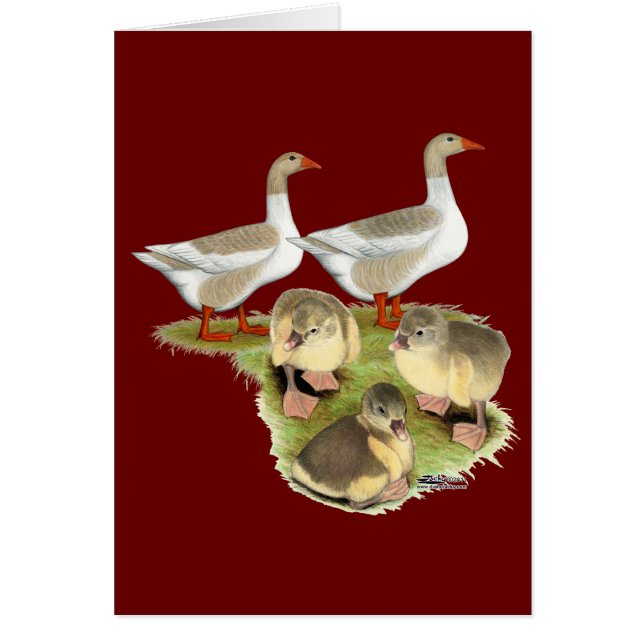 Pommeren Goose Family (Voorkant)