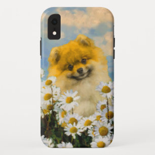 Pommeren in Daisies Painting - Originele Dog Art iPhone XR Hoesje