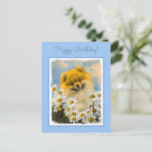 Pommeren in Daisies schilderen - Oorspronkelijke h Briefkaart (Staand voorkant)