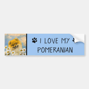 Pommeren in Daisies schilderen - Oorspronkelijke h Bumpersticker