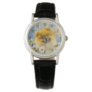 Pommeren in Daisies schilderen - Oorspronkelijke h Horloge