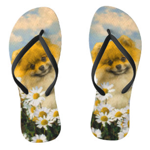 Pommeren in Daisies schilderen - Oorspronkelijke h Teenslippers