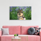 Pommeren in de Gras Canvas Afdruk (Insitu (Woonkamer))