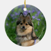 Pommeren in de Gras Keramisch Ornament (Achterkant)