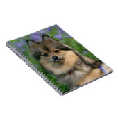 Pommeren in de Gras Notitieboek (Rechterzijde)