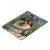 Pommeren in de Gras Notitieboek (Linkerzijde)