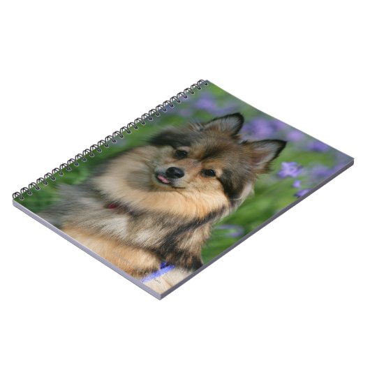 Pommeren in de Gras Notitieboek (Linkerzijde)