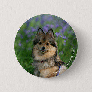 Pommeren in de Gras Ronde Button 5,7 Cm
