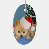 Pommeren in Santa Hat Ornament (Rechts)